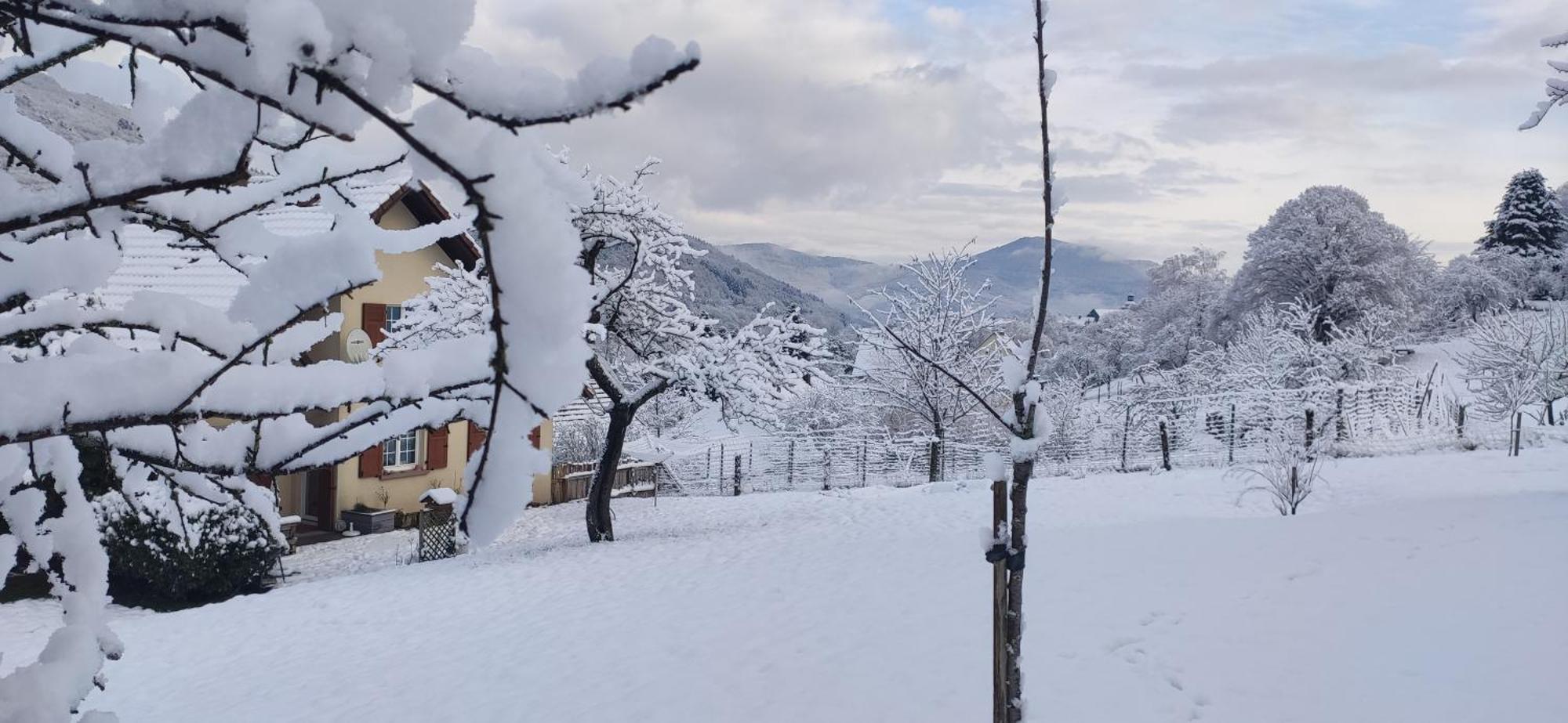 Appartement Douillet Avec Vue Sur Les Montagnes Fouchy Exterior photo