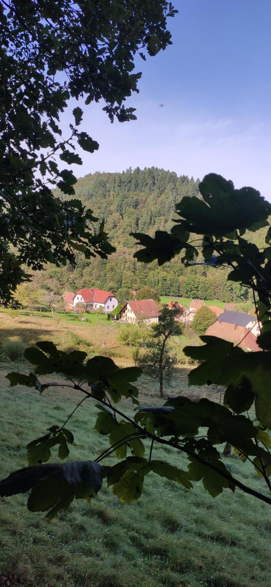 Appartement Douillet Avec Vue Sur Les Montagnes Fouchy Exterior photo